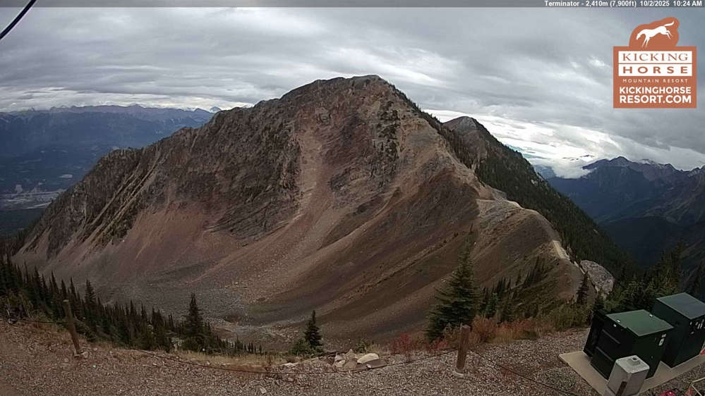 Kicking Horse - Terminator