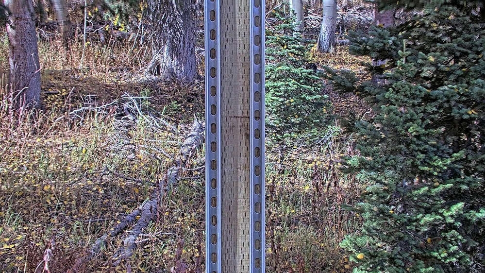 Snow Stake Webcam