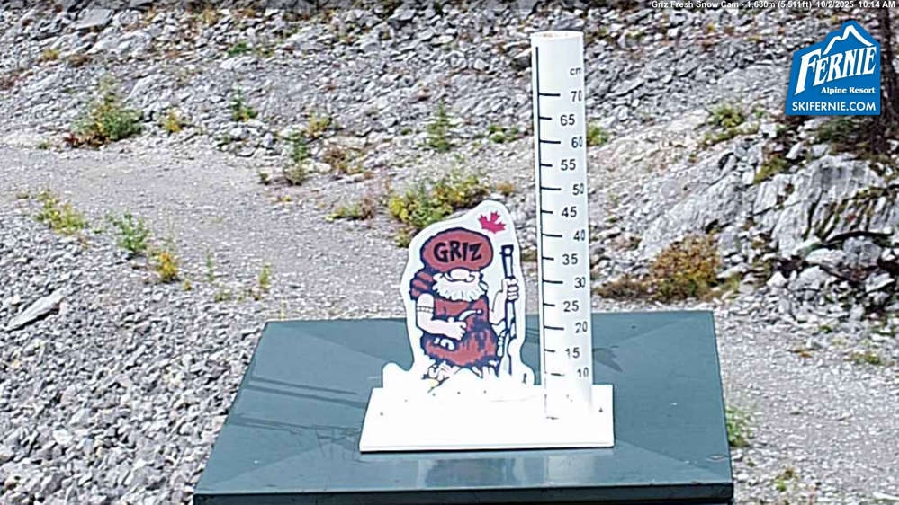 Fernie: Griz Fresh Snow Cam