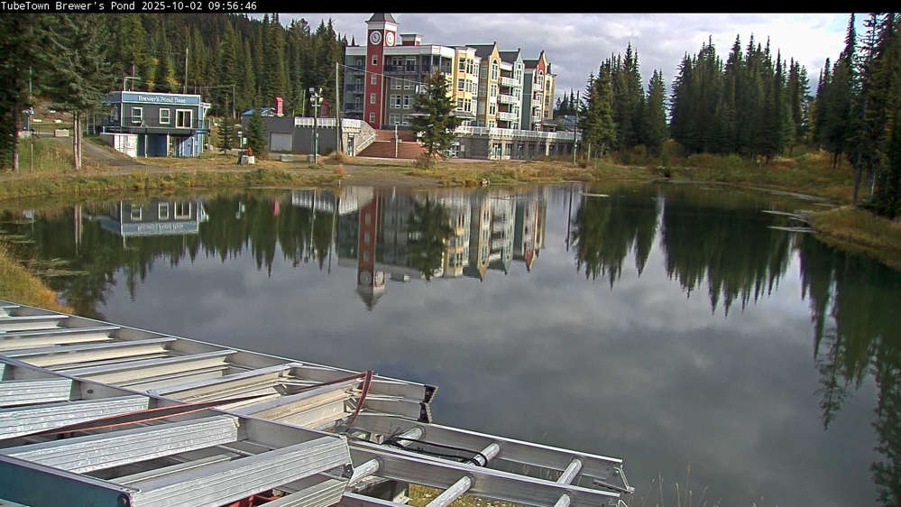 Silver Star Brewer's Pond Webcam