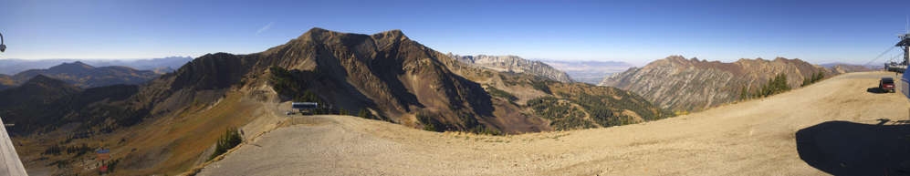 Snowbird