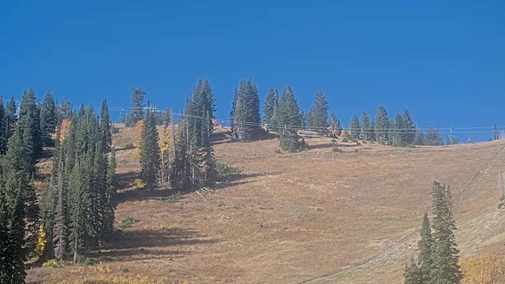 Solitude: Sunshine Bowl Cam