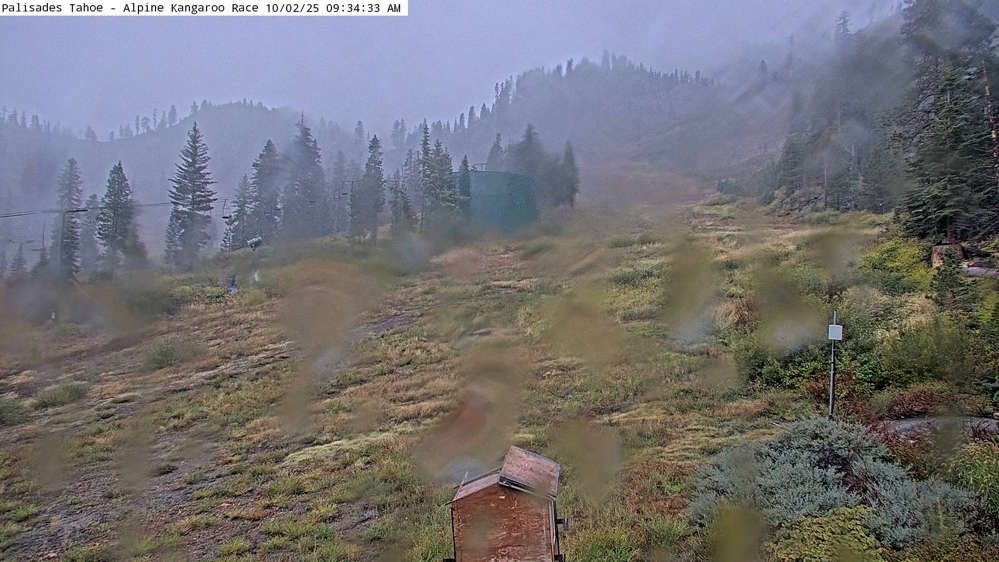 Alpine Race Cam