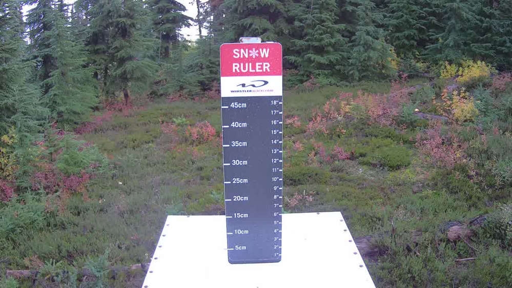 Whistler Snow Stake