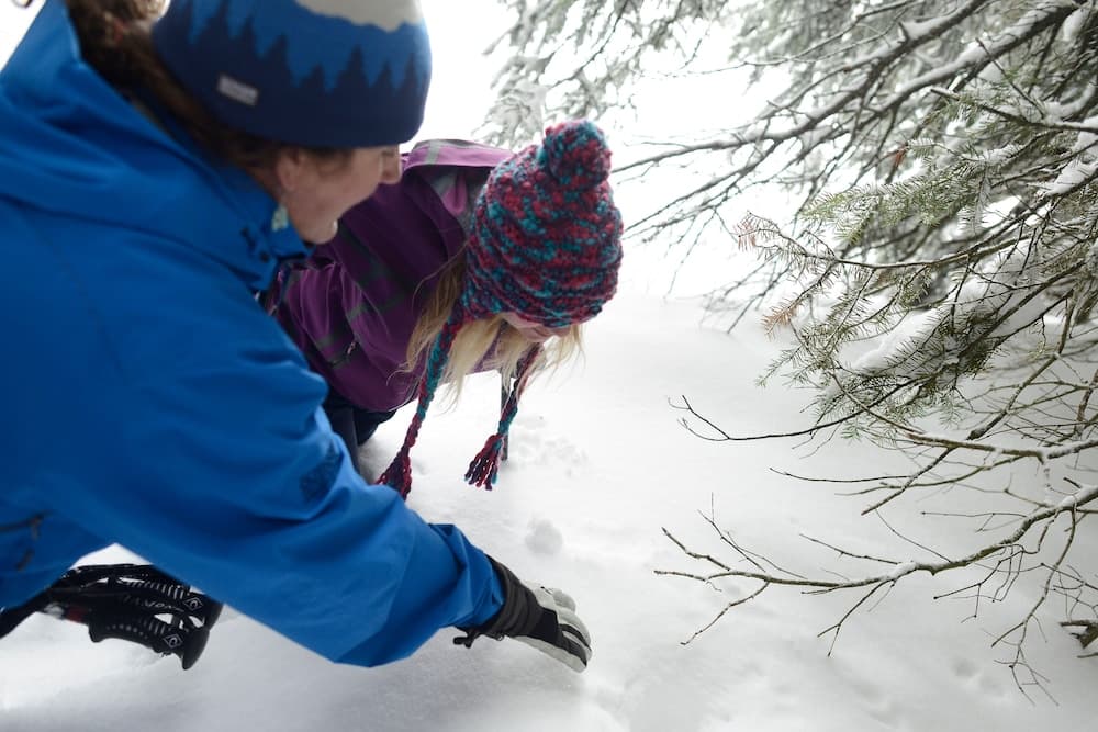 Snowshoeing