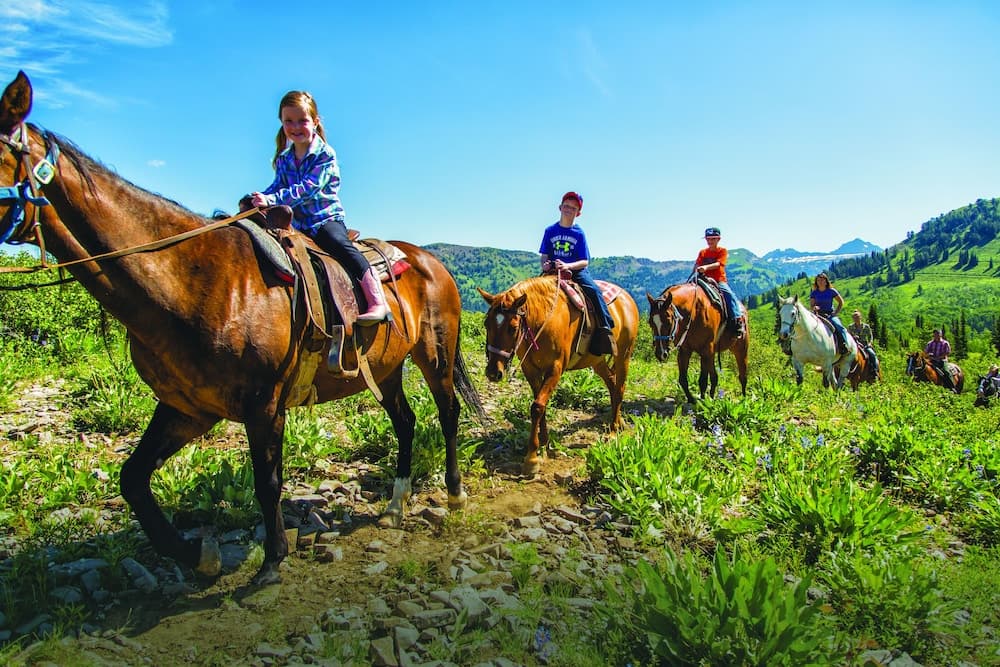 Horseback riding