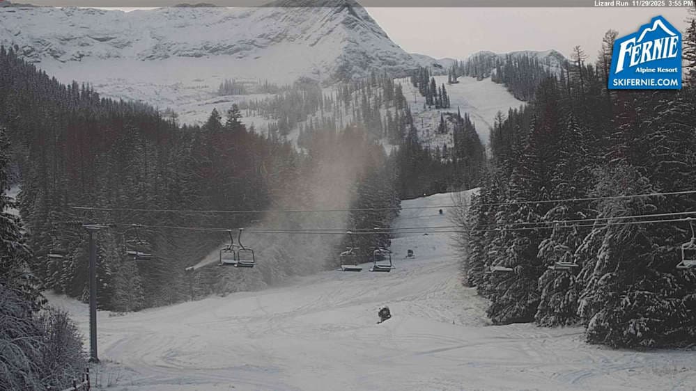 Fernie: Lizard View from Great Bear