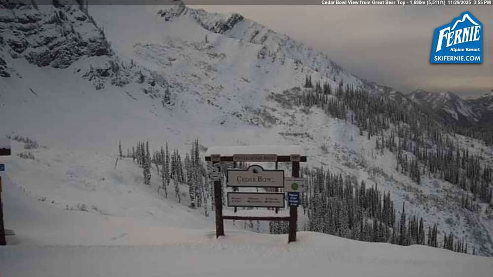 Fernie: Cedar Bowl View from Great Bear