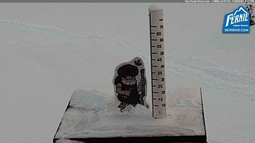 Fernie: Griz Fresh Snow Cam