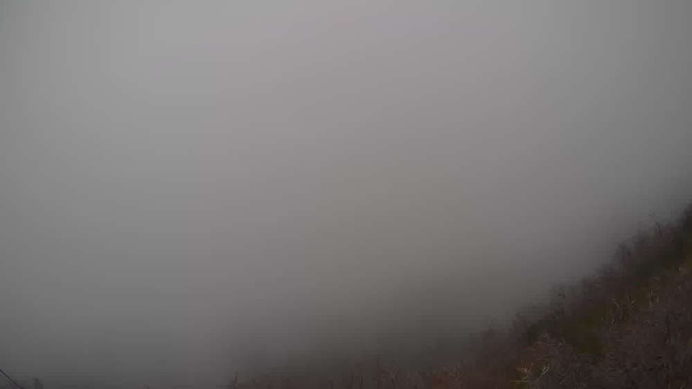 Lookout Cabin Camera