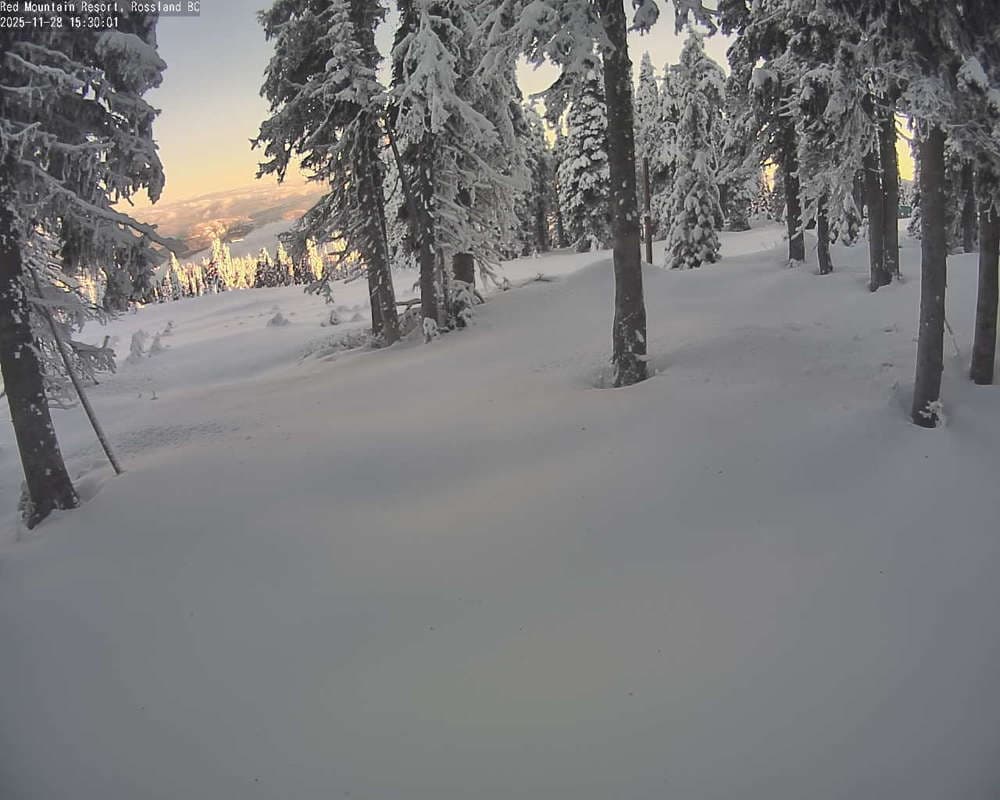 Red Resort - Rosario Snow Cam