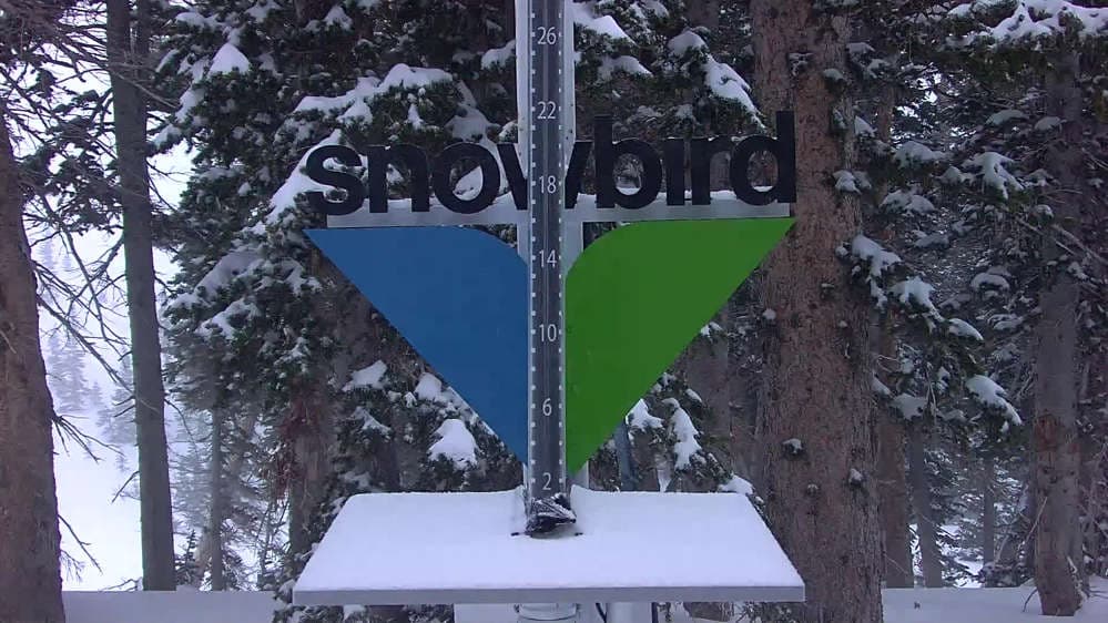 Snowbird - Snowstake