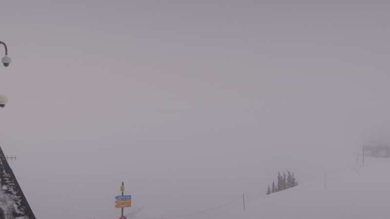 Powder Paradise Webcam