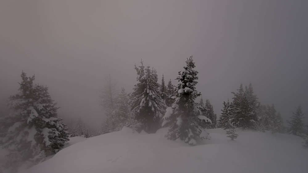 Banff Sunshine - Standish Viewing Deck