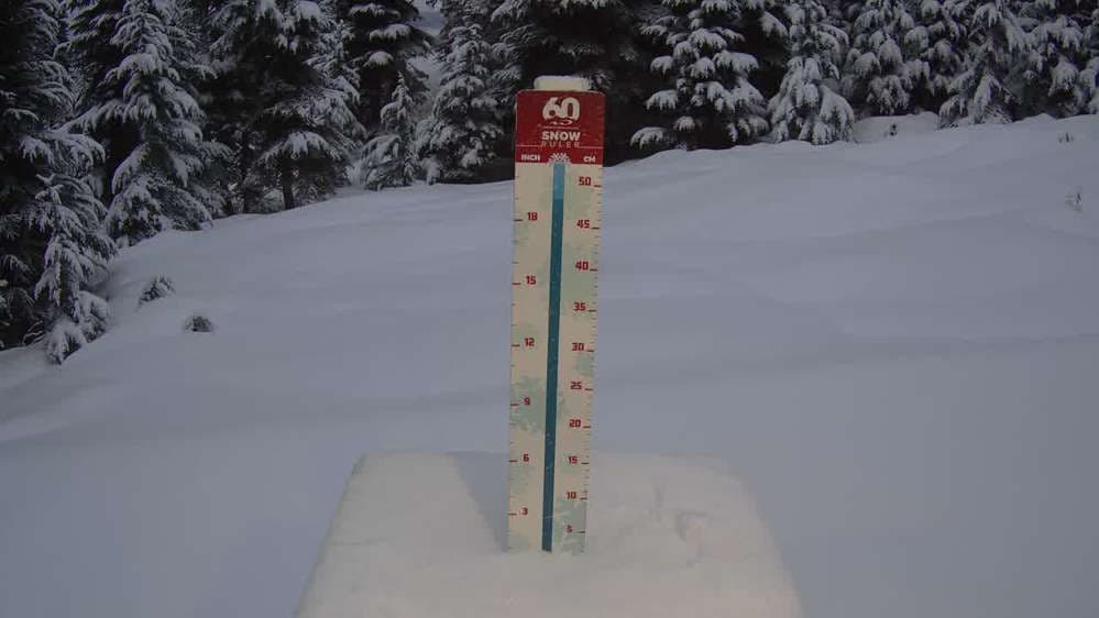 Whistler Snow Stake