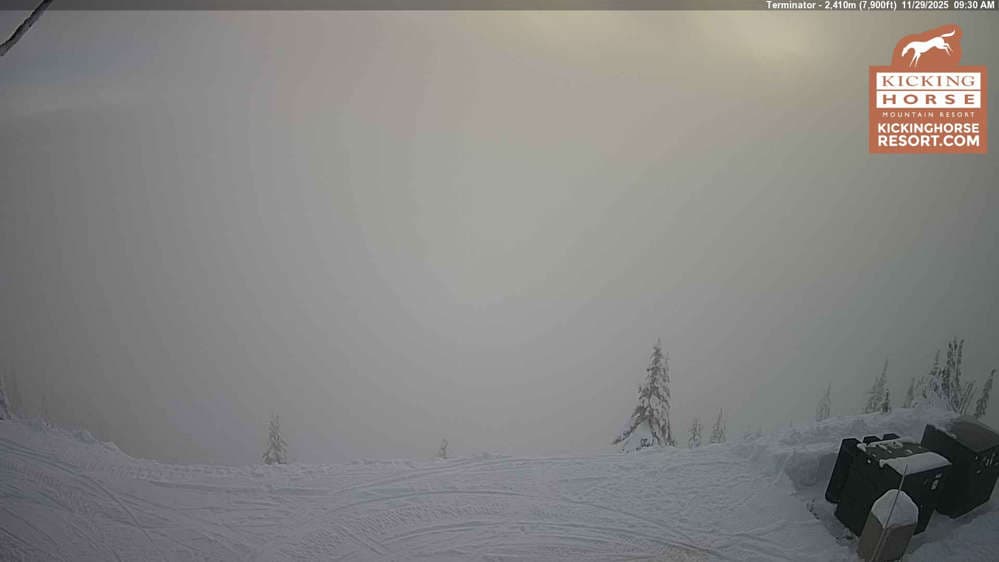 Kicking Horse - Terminator