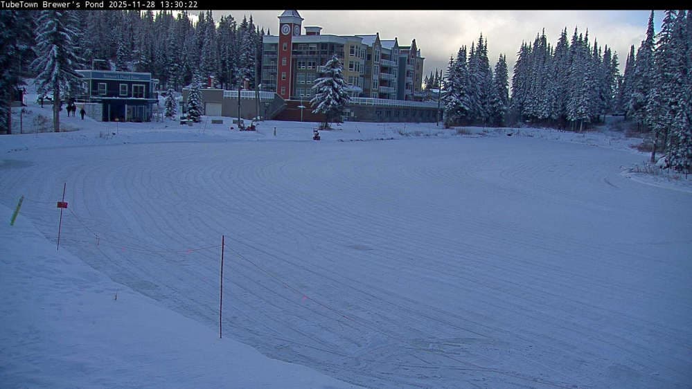 Silver Star Brewer's Pond Webcam