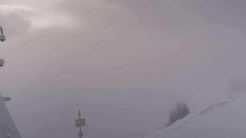 Powder Paradise Webcam