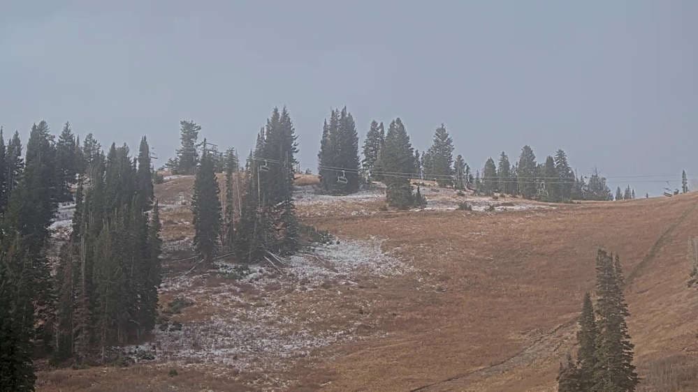 Solitude: Sunshine Bowl Cam